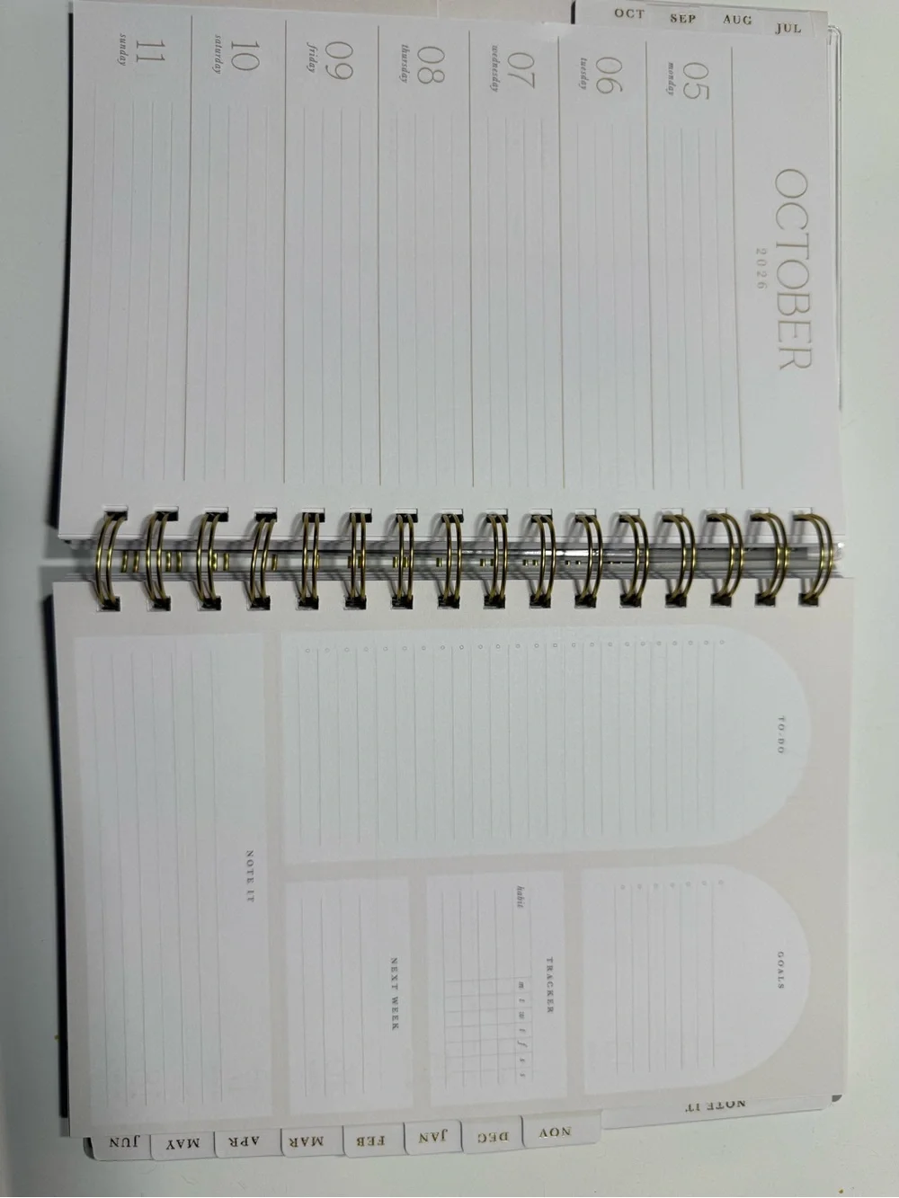Blue Sky Mint Bow Spiral Planner with Gold Foil Accent